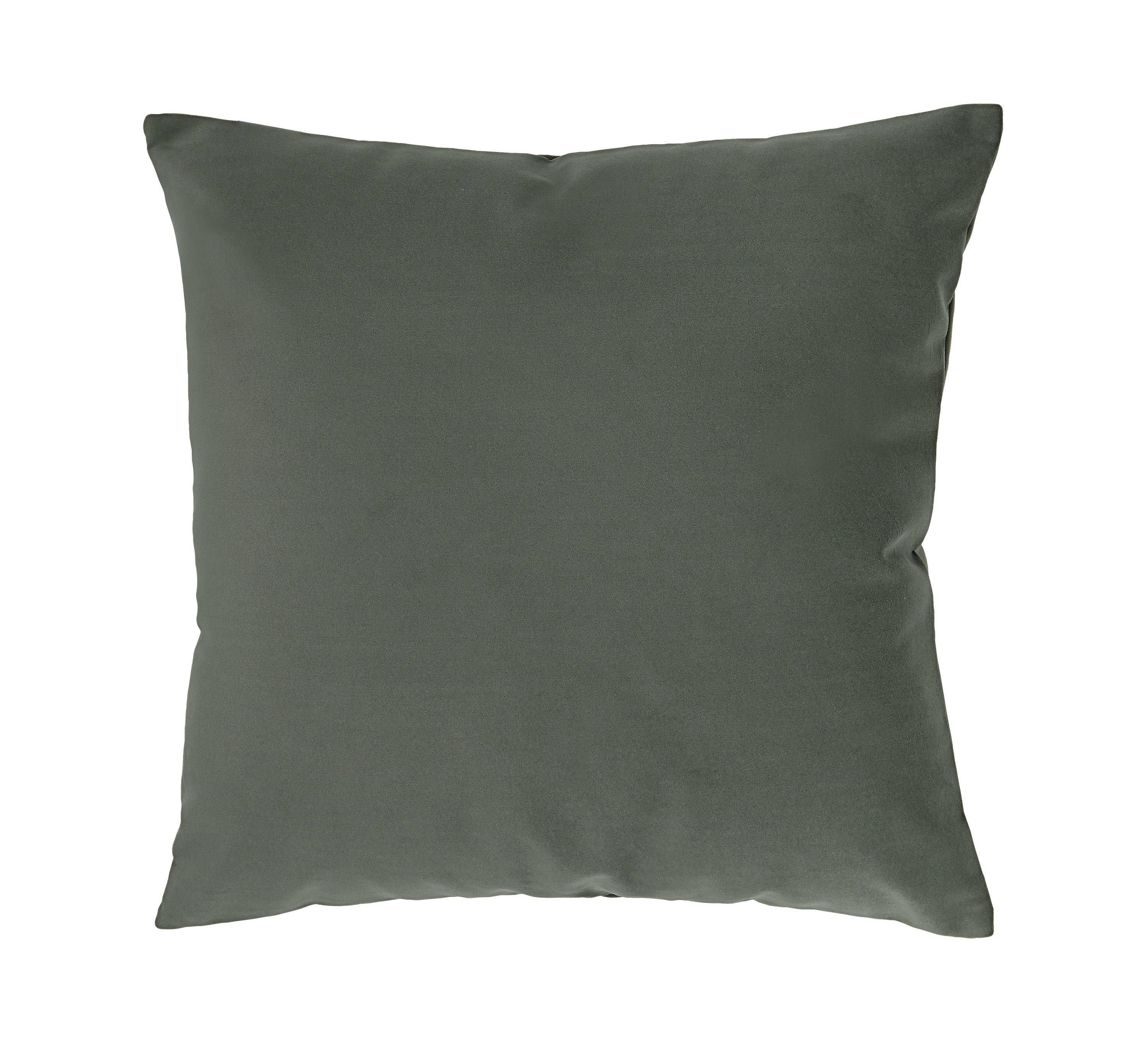 Philemon Indoor Pillow large image 