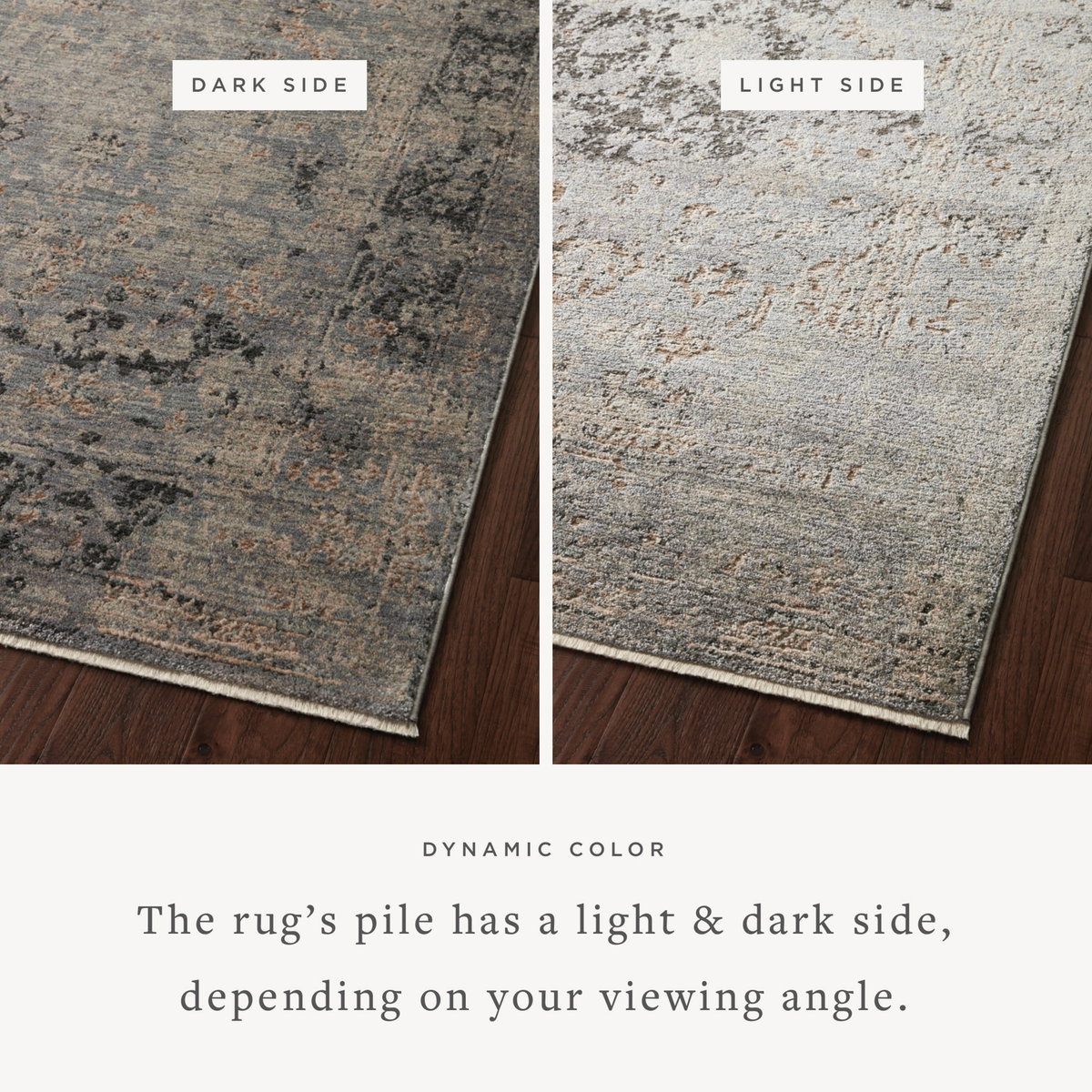 Loloi Sonnet Rug, 1'6" length x 1'6" width View 2