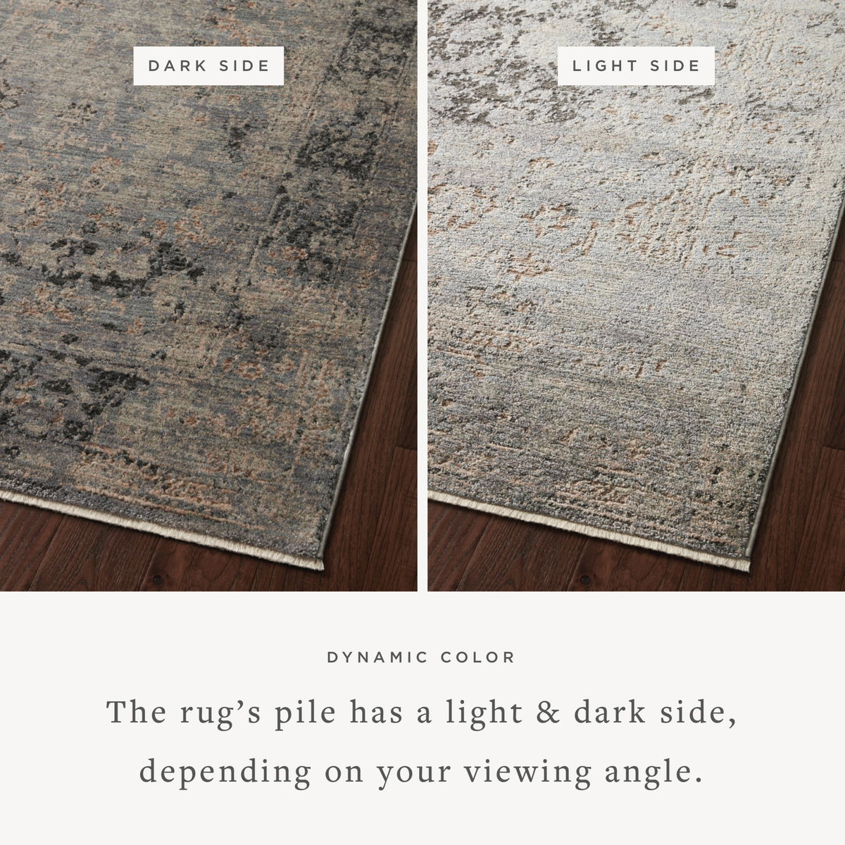 Loloi Sonnet Rug, 2'6" length x 4' width View 2