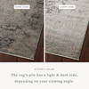 Loloi Sonnet Rug, 2'6" length x 4' width thumbnail 2
