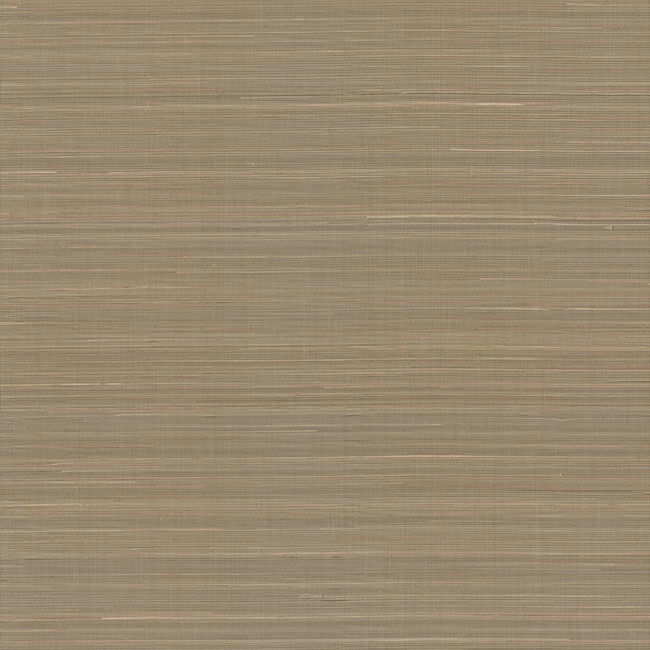 Abaca Weave Brown Wallpaper large image 
