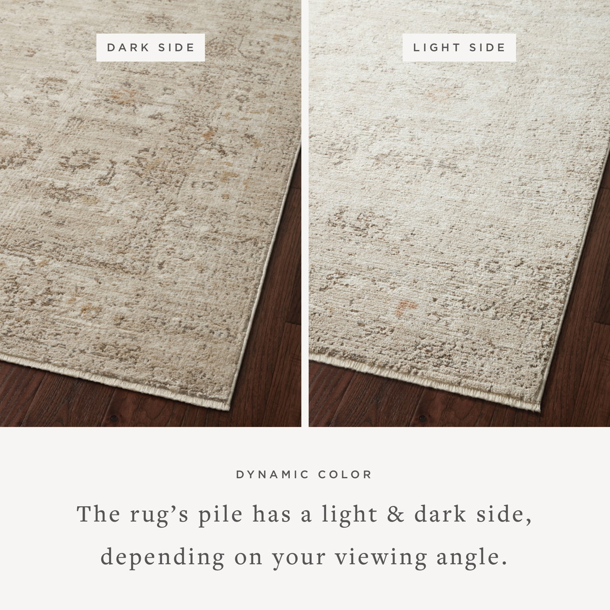 Loloi Sonnet Rug, 1'6" length x 1'6" width View 2