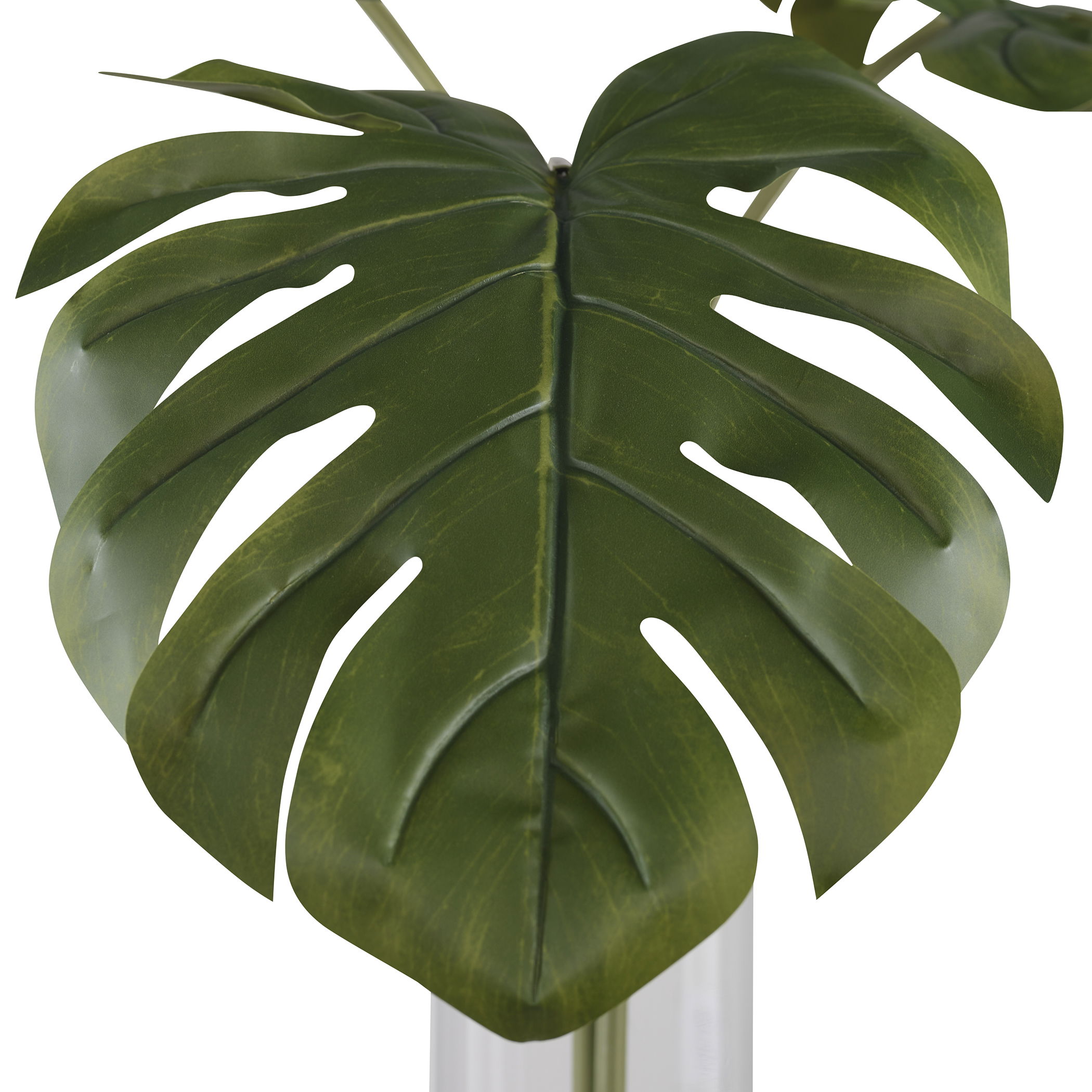 Ibero Split Leaf Palm large image 