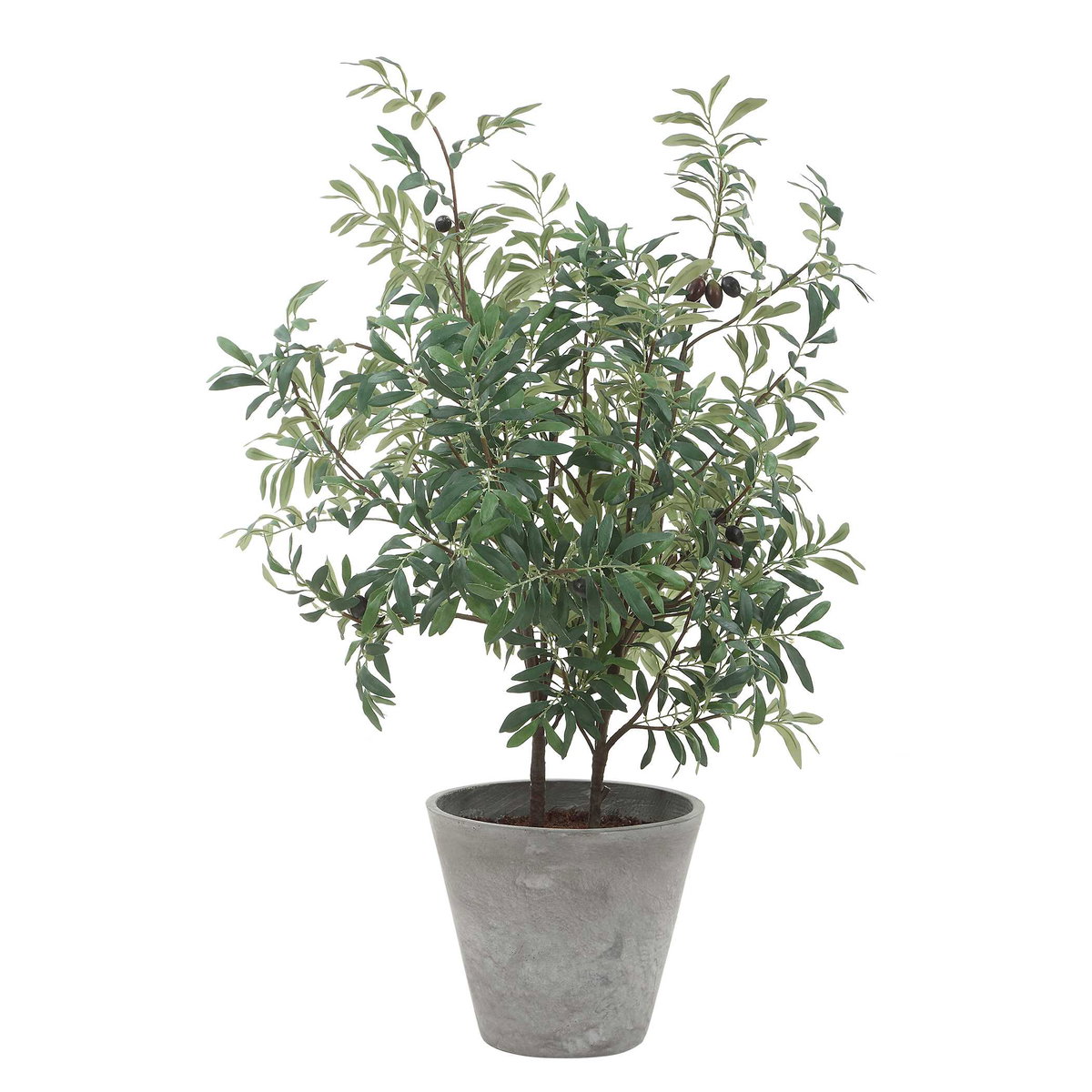 Marisol Potted Olive Plant, by Uttermost, 2'4.5" width x 3'9.25" height x 2'2.5" depth View 4