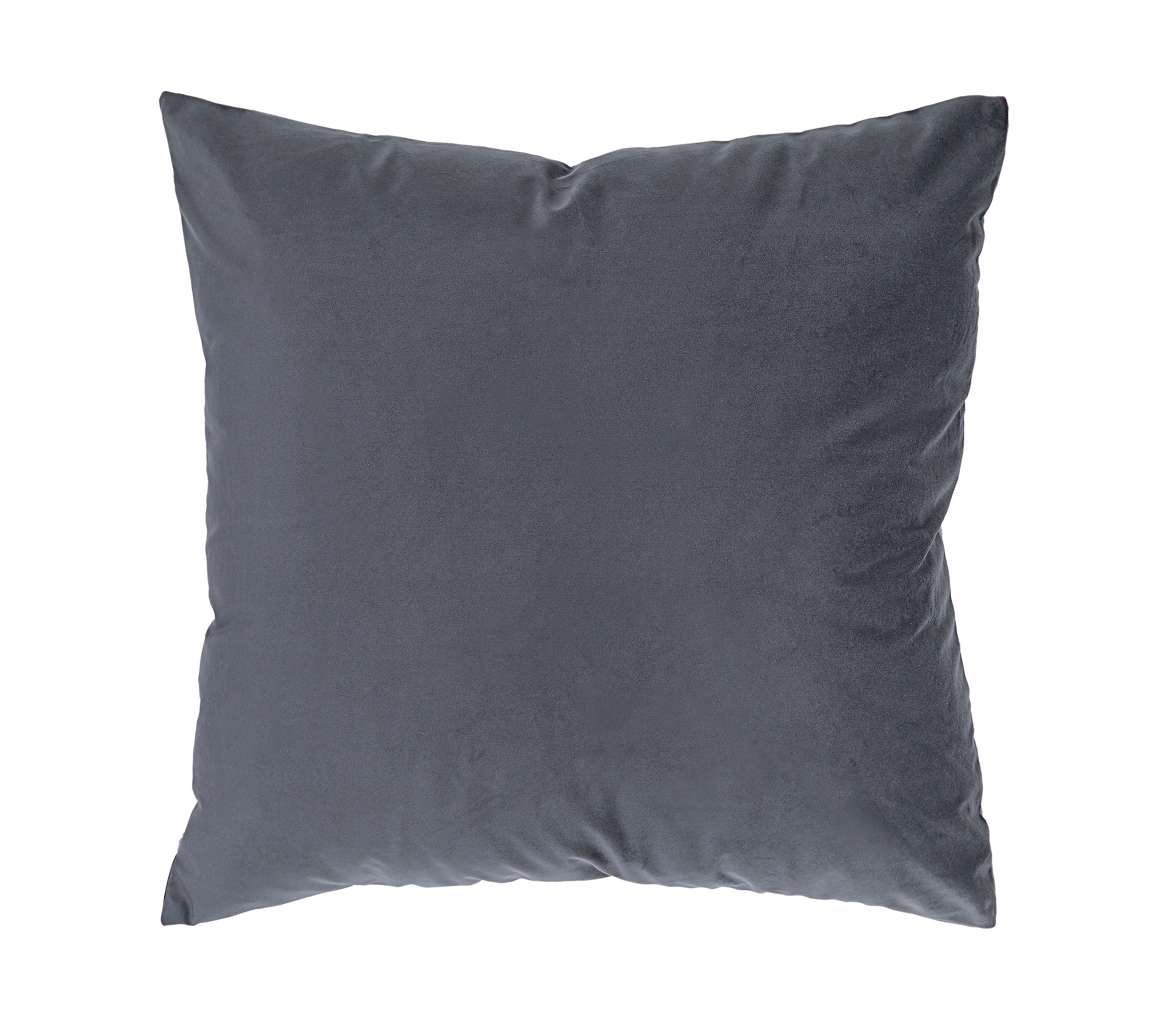 Anemone Indoor Pillow large image 