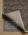 Amber Lewis x Loloi Molly Rug, 2'3" length x 3'10" width thumbnail 8