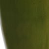 Adela Moss Green Table Lamp thumbnail 6