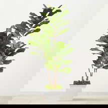 Online Designer Combined Living/Dining Faux Fiddle Leaf Tree in White Metal Planter, 5.5'