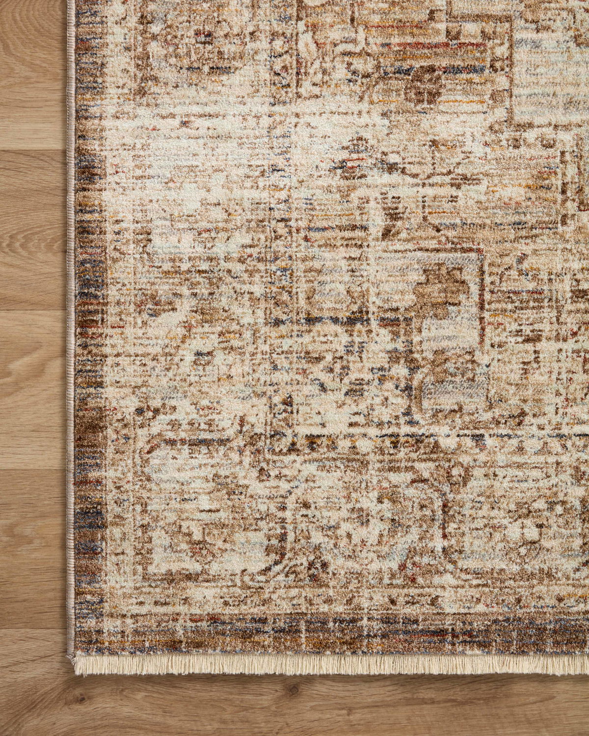 Loloi Sorrento Rug, 2' length x 3' width View 7