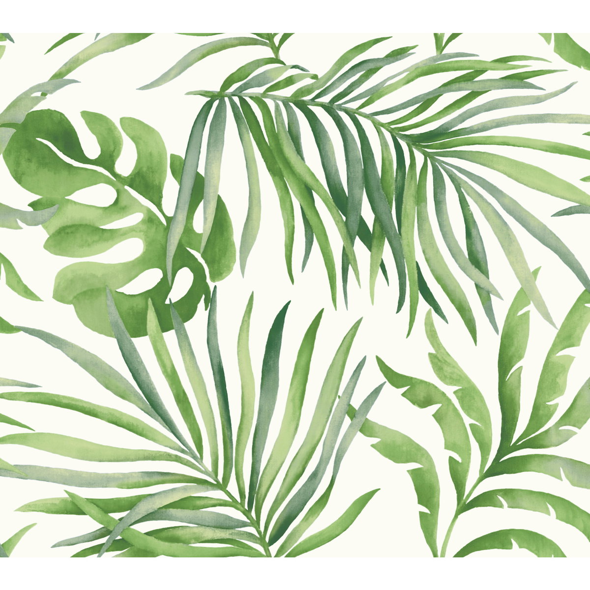 Paradise Palm Green Wallpaper, by York Wall, 27' length x 2'3" width x 0.02" depth