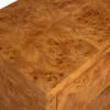 Indus 2 Drawer Burl Chest, Cabinets & Chest by Uttermost, 30" width x 30" height x 17" depth thumbnail 11