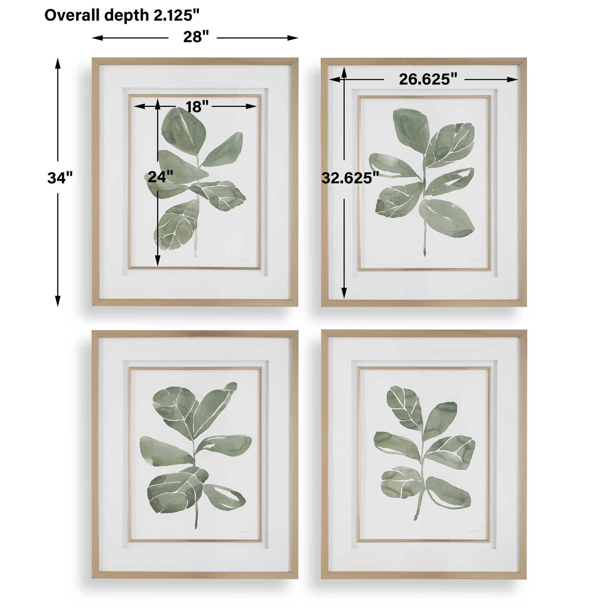 Fiddle Head Leaf Botanical Prints Set/4, Art by Uttermost, 28" width x 34" height x 2.12" depth View 3