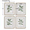 Fiddle Head Leaf Botanical Prints Set/4, Art by Uttermost, 28" width x 34" height x 2.12" depth thumbnail 3