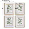 Fiddle Head Leaf Botanical Prints Set/4, Painting by Uttermost, 28" width x 34" height x 2.12" depth thumbnail 3