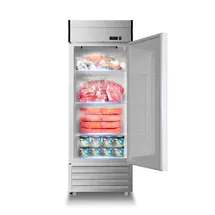 Online Designer Bathroom KICHKING 23 Cubic Feet 1 Door Reach-In Commercial Freezer - 27.16''