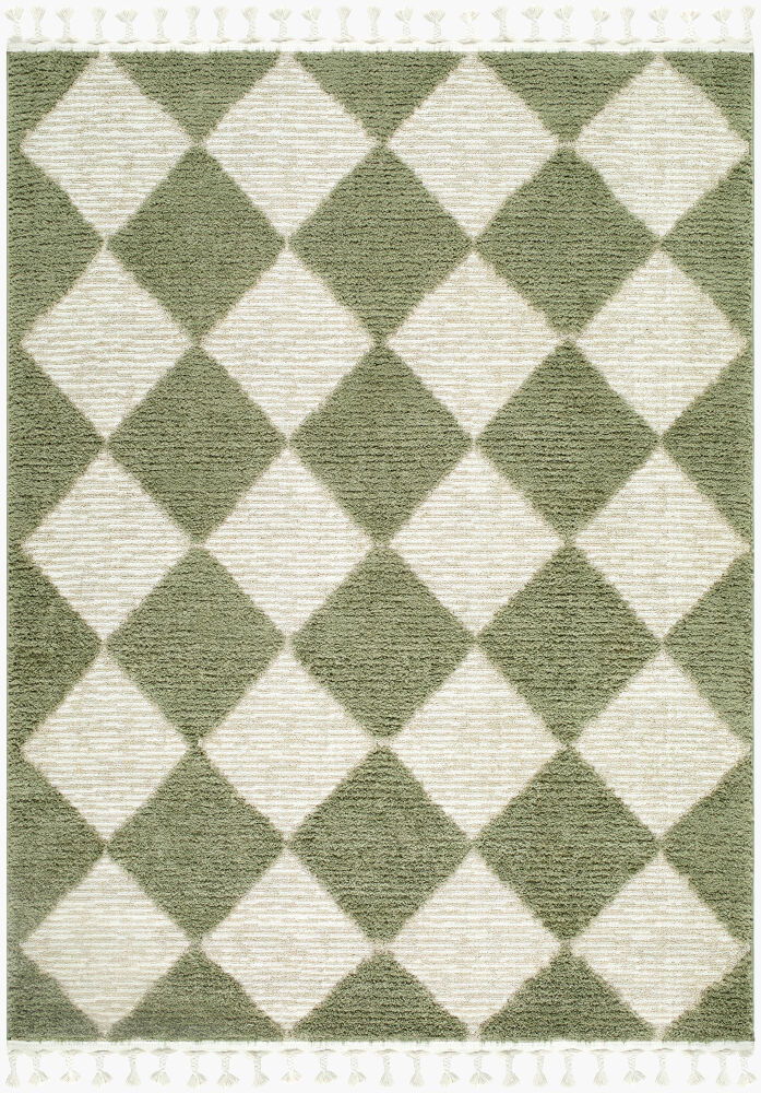 Nora Machine Woven Rug large image 