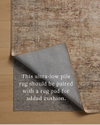Loloi Anniston Rug, 2'6" length x 7'6" width thumbnail 3