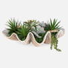 Seaside Breeze Succulents, Artificial Plants & Flower by Uttermost, 23" width x 10" height x 14" depth thumbnail 1