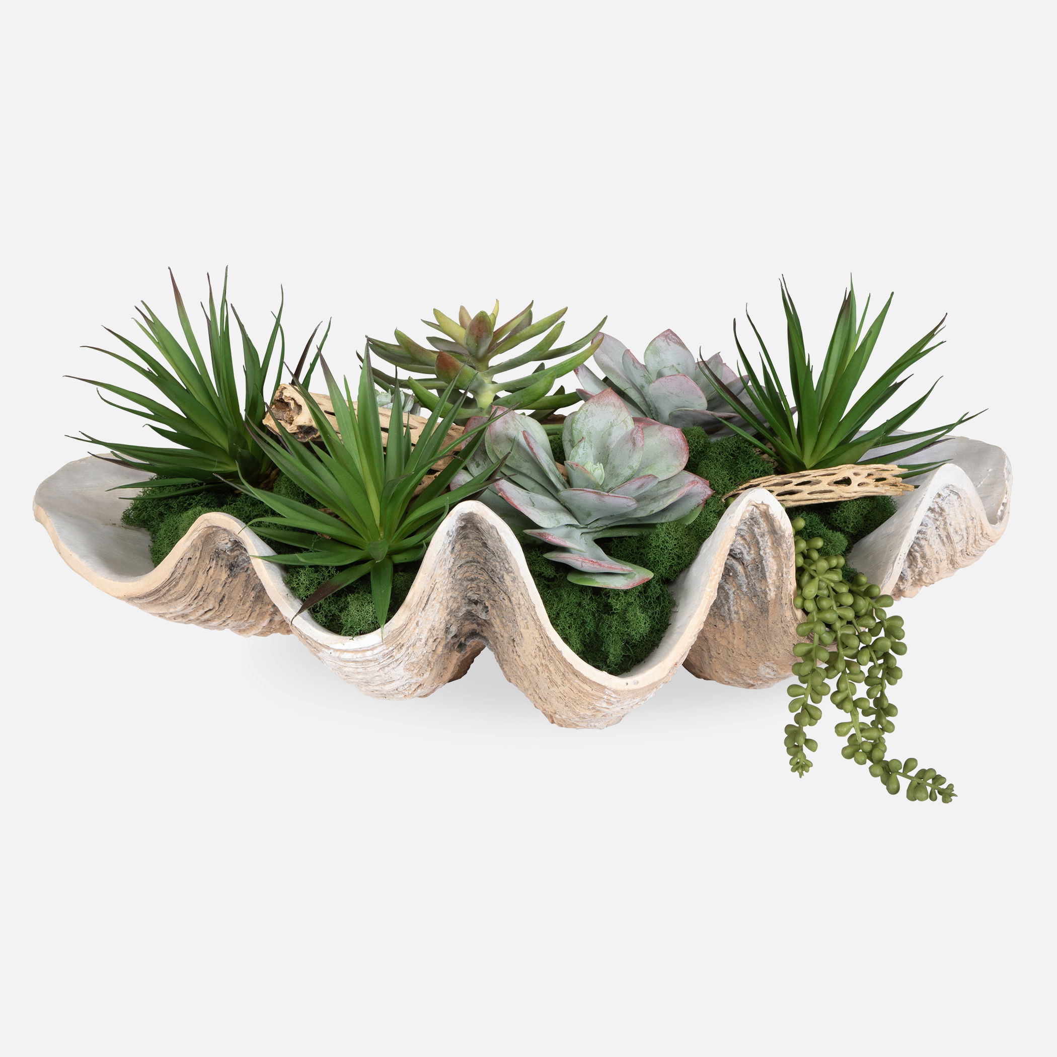 Seaside Breeze Succulents, Decorative by Uttermost, 23" width x 10" height x 14" depth View 1