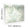 Paradise Palm Aloe Peel & Stick Wallpaper thumbnail 2