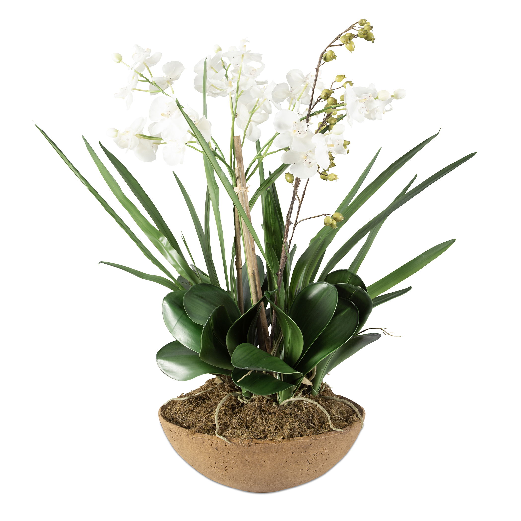 Moth Orchid Planter, Decorative by Uttermost, 18.5" width x 33.5" height x 18.5" depth View 1