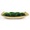 Venice Moss Centerpiece, Artificial Plants & Flower by Uttermost, 20" width x 5" height x 8" depth thumbnail 1