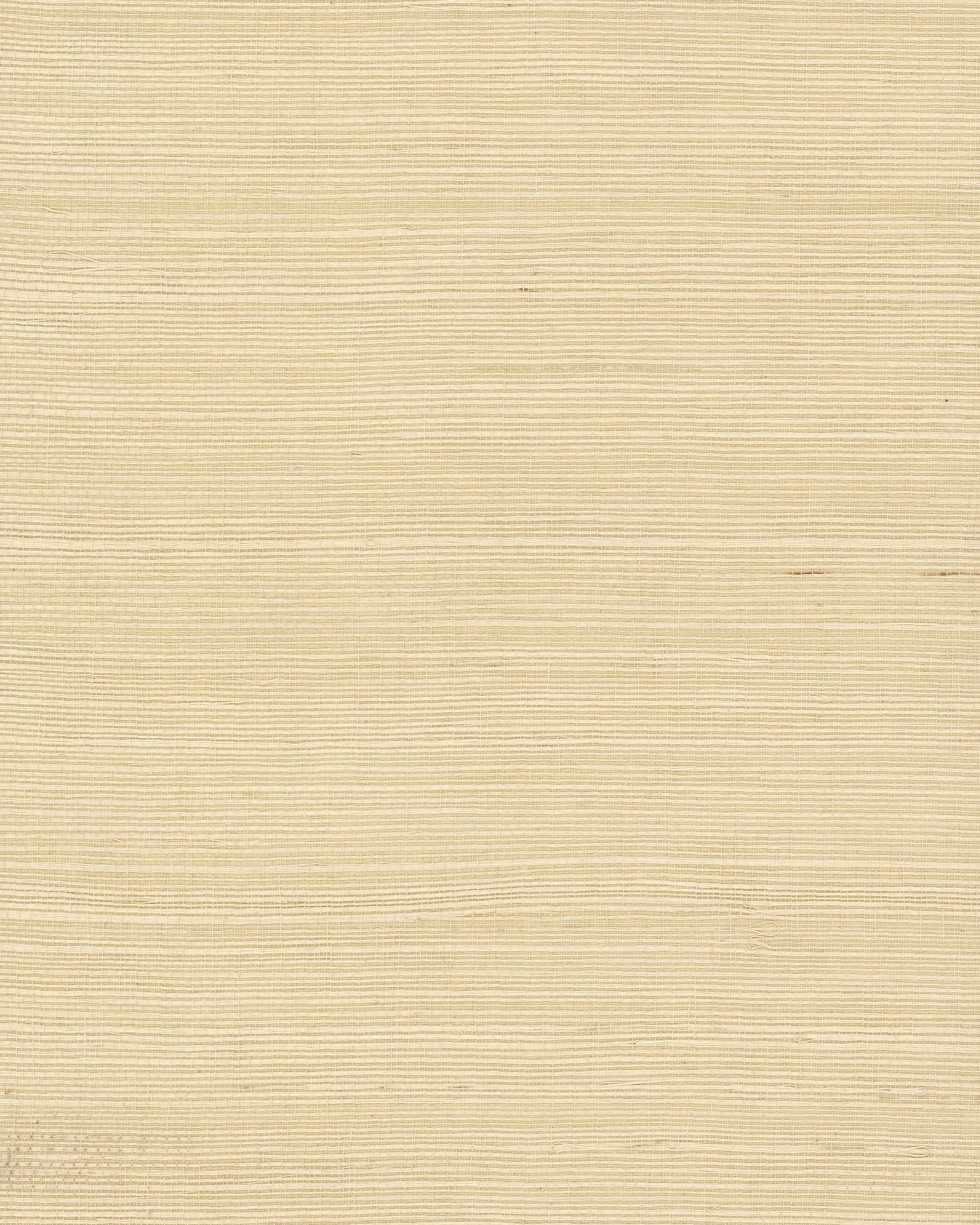 Plain Grass Beige Wallpaper, by York Wall, 24' length x 3' width x 0.02" depth View 1
