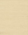 Plain Grass Beige Wallpaper, by York Wall, 24' length x 3' width x 0.02" depth thumbnail 1