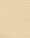 Plain Grass Beige Wallpaper, by York Wall, 24' length x 3' width x 0.02" depth thumbnail