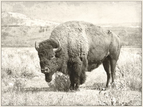 North Range Canvas Art