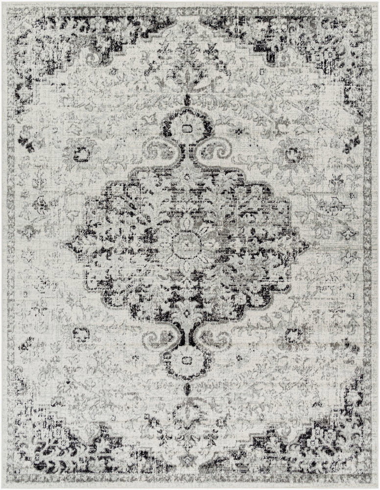 Harput Machine Woven Rug, by Surya, 10'2.05" length x 7'10.49" width