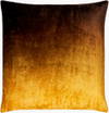 Theodosia Accent Pillow, Decorative Pillow by Surya, 20" length x 20" width thumbnail