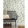 Olive Branch Olive Grove Wallpaper, by York Wall, 33' length x 1'8.5" width x 0.02" depth thumbnail 3