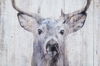 Gaze Wall Art thumbnail 2