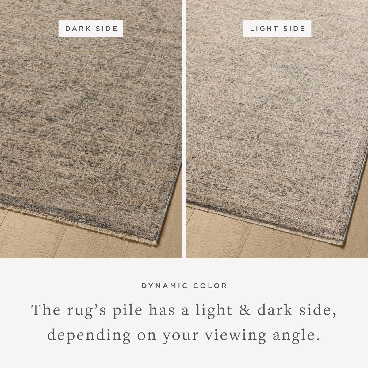 Loloi Newman Rug, 1'6" length x 1'6" width View 3