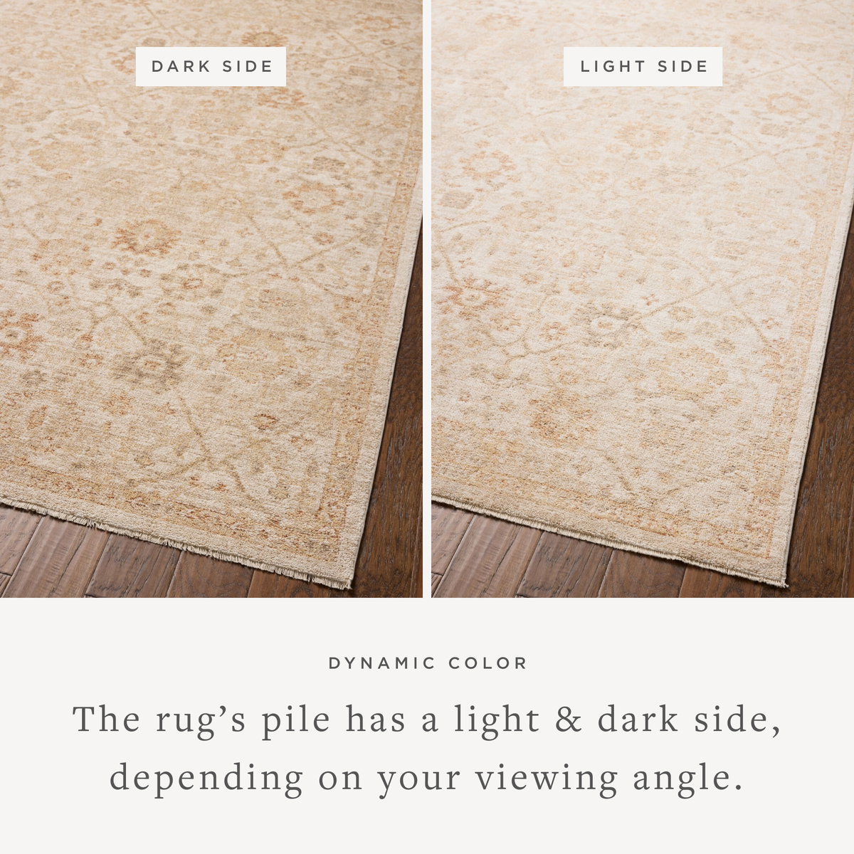 Chris Loves Julia x Loloi Palma Rug, 2'7" length x 7'6" width View 3