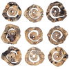 Corkscrew Wood Wall Decor Set/9 thumbnail 7