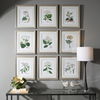 Antique Botanicals Framed Prints, S/9 thumbnail 1