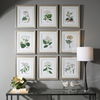 Antique Botanicals Framed Prints Set/9 thumbnail 1
