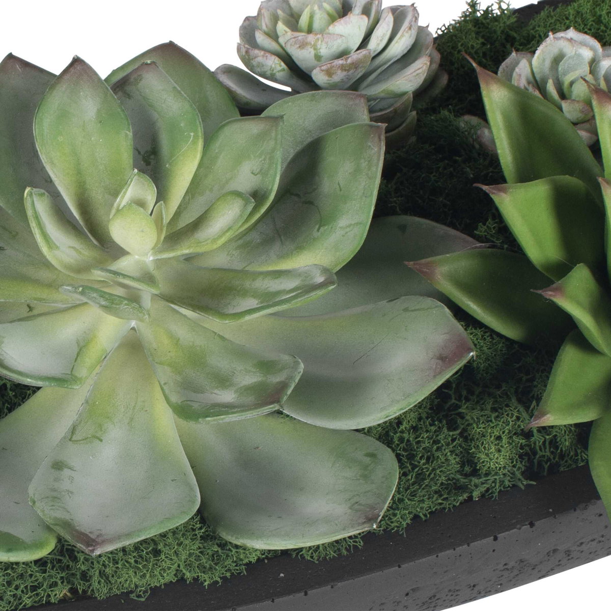 Verde Succulent Centerpiece In Bowl, Artificial Plants & Flower by Uttermost, 29" width x 6" height x 8" depth View 7
