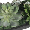 Verde Succulent Centerpiece In Bowl, Artificial Plants & Flower by Uttermost, 29" width x 6" height x 8" depth thumbnail 7