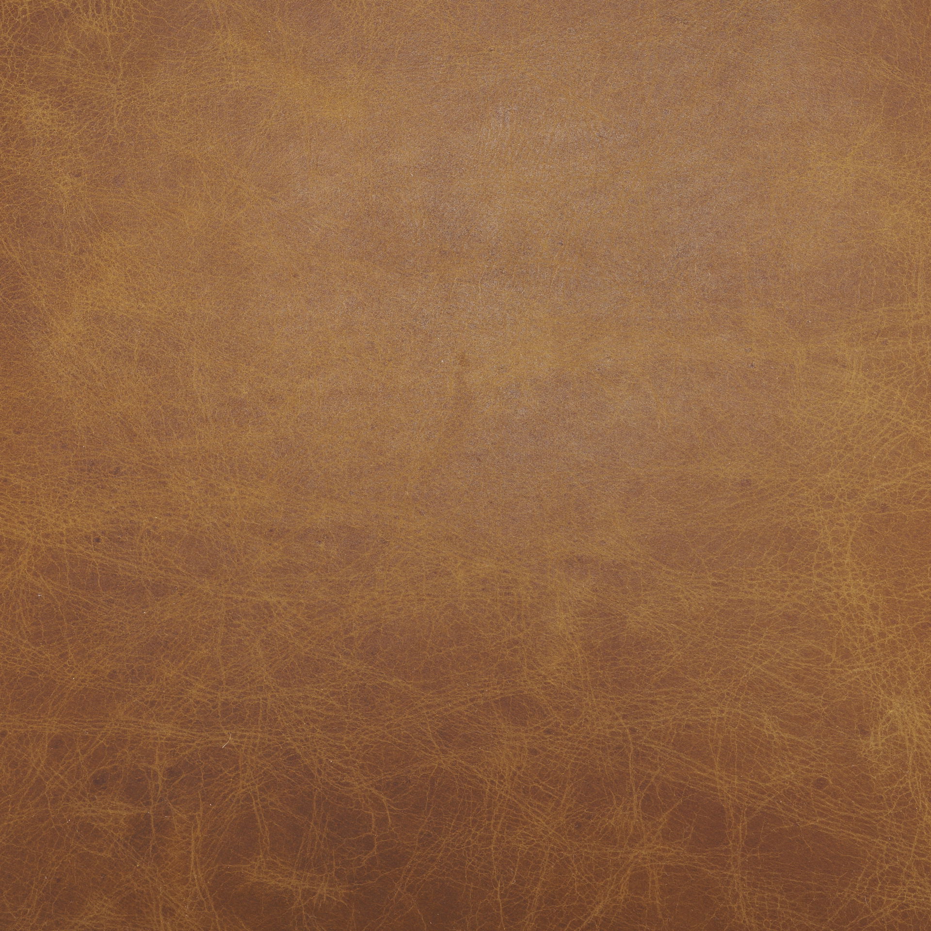 Hollyfield I Brown Leather Seat Gold Iron Frame Dining Chair, by Mercana, 20.5" length x 21.5" width x 29.5" height View 6