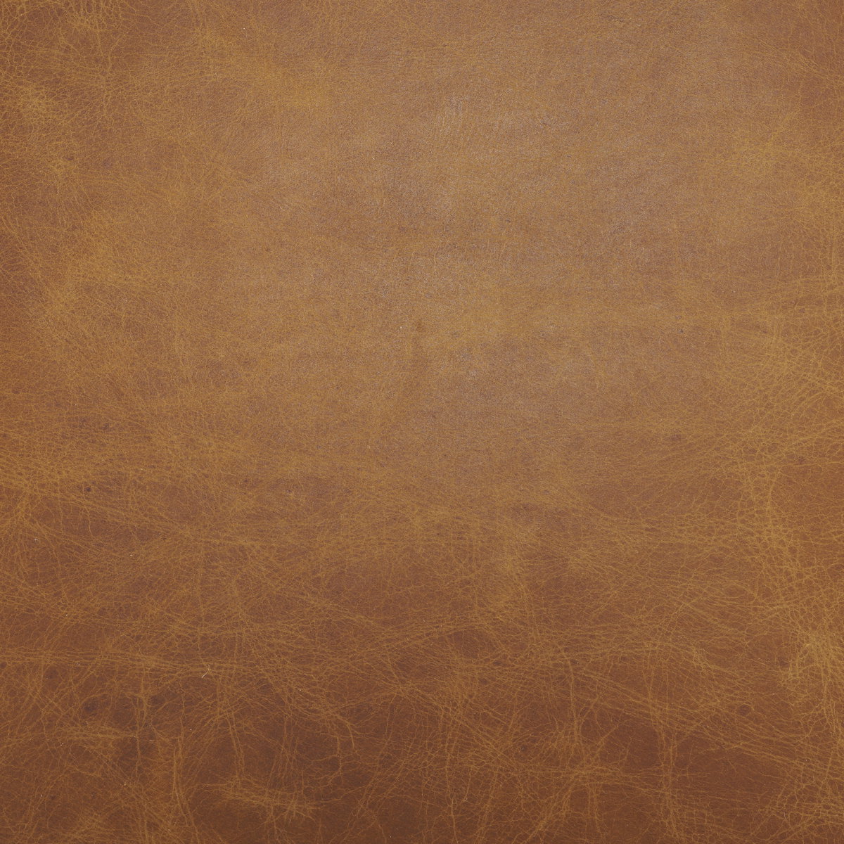 Hollyfield I Brown Leather Seat Gold Iron Frame Dining Chair, by Mercana, 20.5" length x 21.5" width x 29.5" height View 6