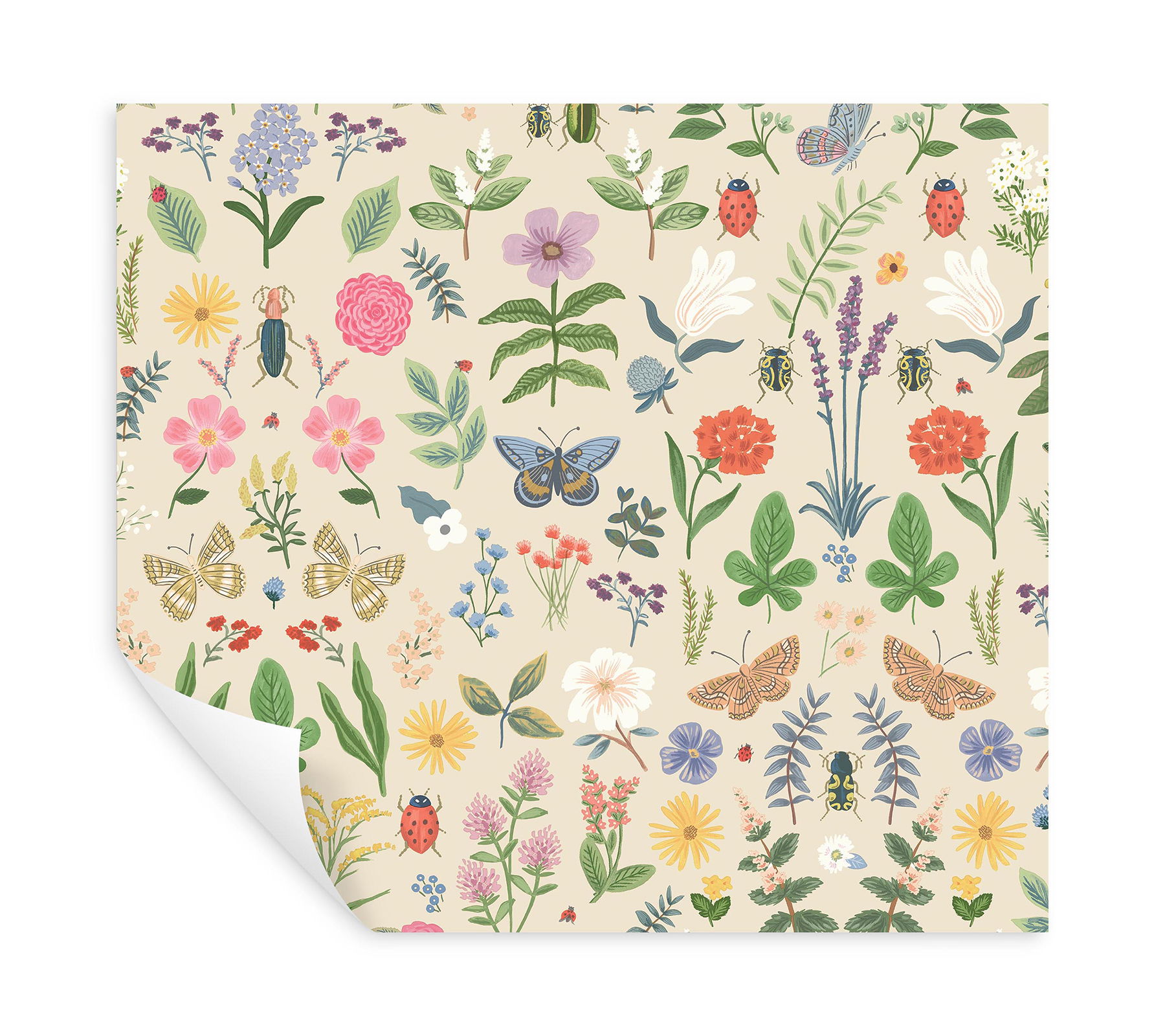 Curio Cream Peel & Stick Wallpaper large image 