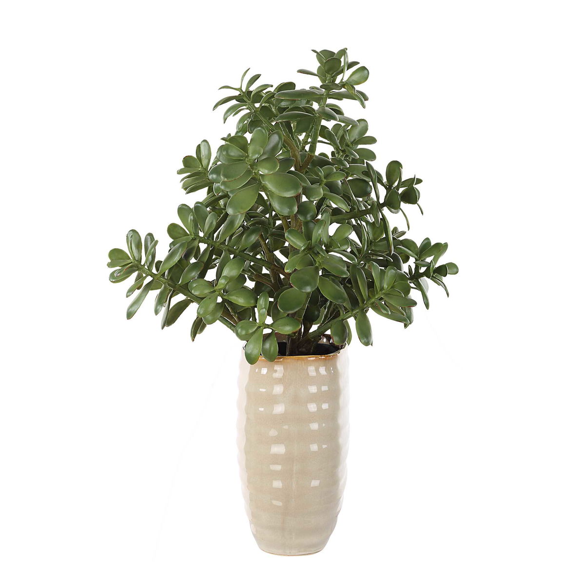 Crassula Jade Accent Plant, Artificial Plants & Flower by Uttermost, 18" width x 23.5" height x 13.75" depth View 4