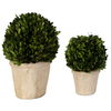 Oval Domes Preserved Boxwood Set/2, Decorative by Uttermost, 14" width x 12" height x 8" depth thumbnail 5