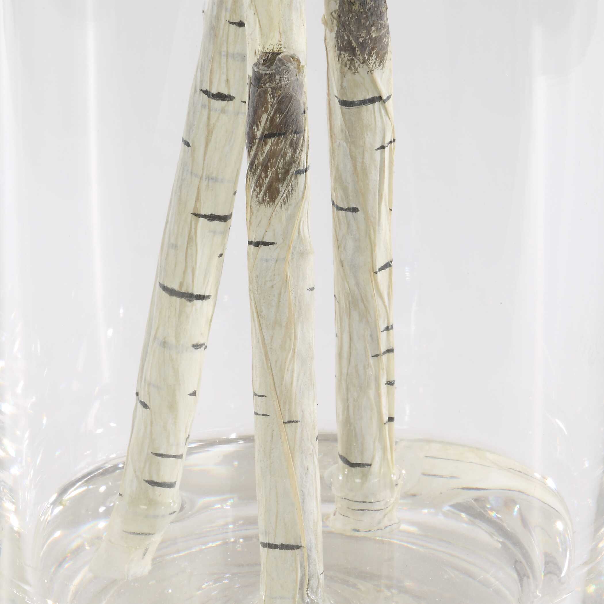 Nigra Birch Vase Centerpiece large image 