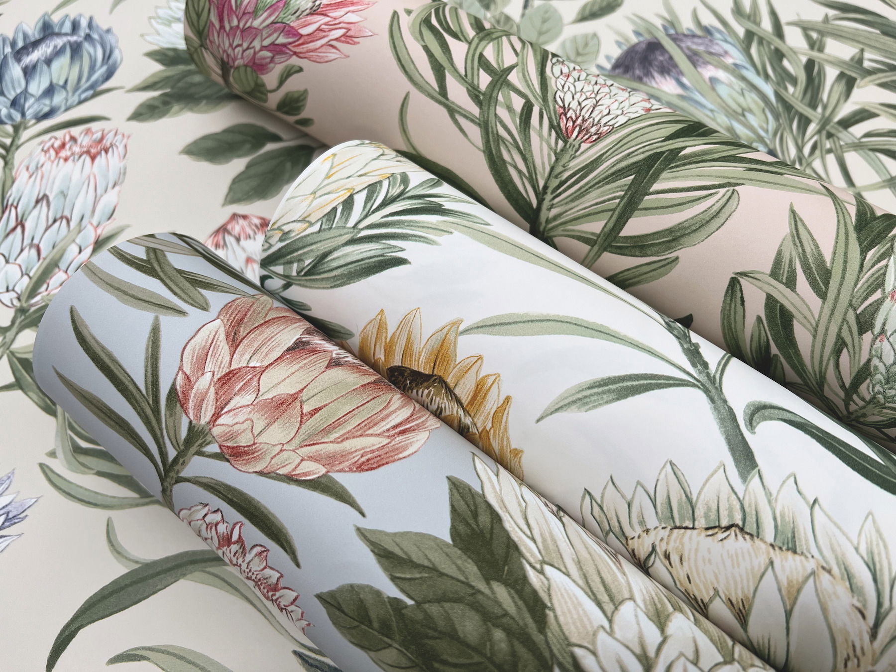 Protea Cream & Blue Wallpaper large image 