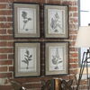 Casual Grey Study Framed Art Set/4, Painting by Uttermost, 14.5" width x 17.5" height x 1" depth thumbnail 4