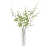 Nigra Birch Vase Centerpiece, Artificial Plants & Flower by Uttermost, 20" width x 48.25" height x 24" depth thumbnail 3